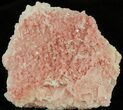Pink Halite Crystal Plate - Trona, California #61053-1